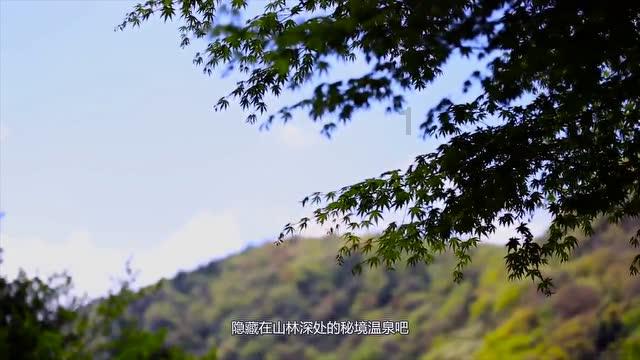 雨血前传：蜃楼