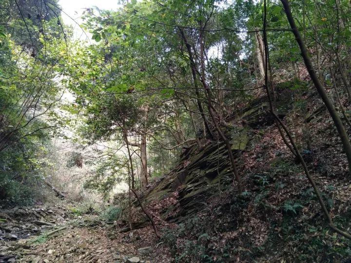 家庭住宅逃离2
