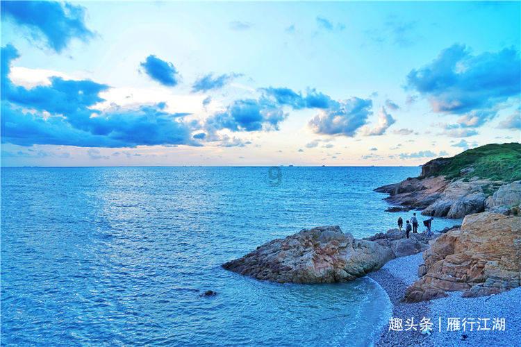救援花卉销售员